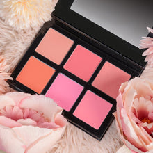 6 Shades lightweight Cheek Face Pallete