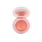 blush-mood-1.jpg
